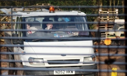 Corporate Investigation dorking & surrey